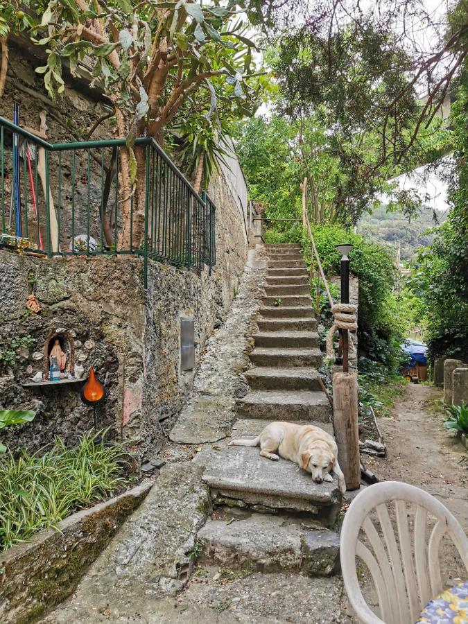 Hotel Itaca Varazze Esterno foto