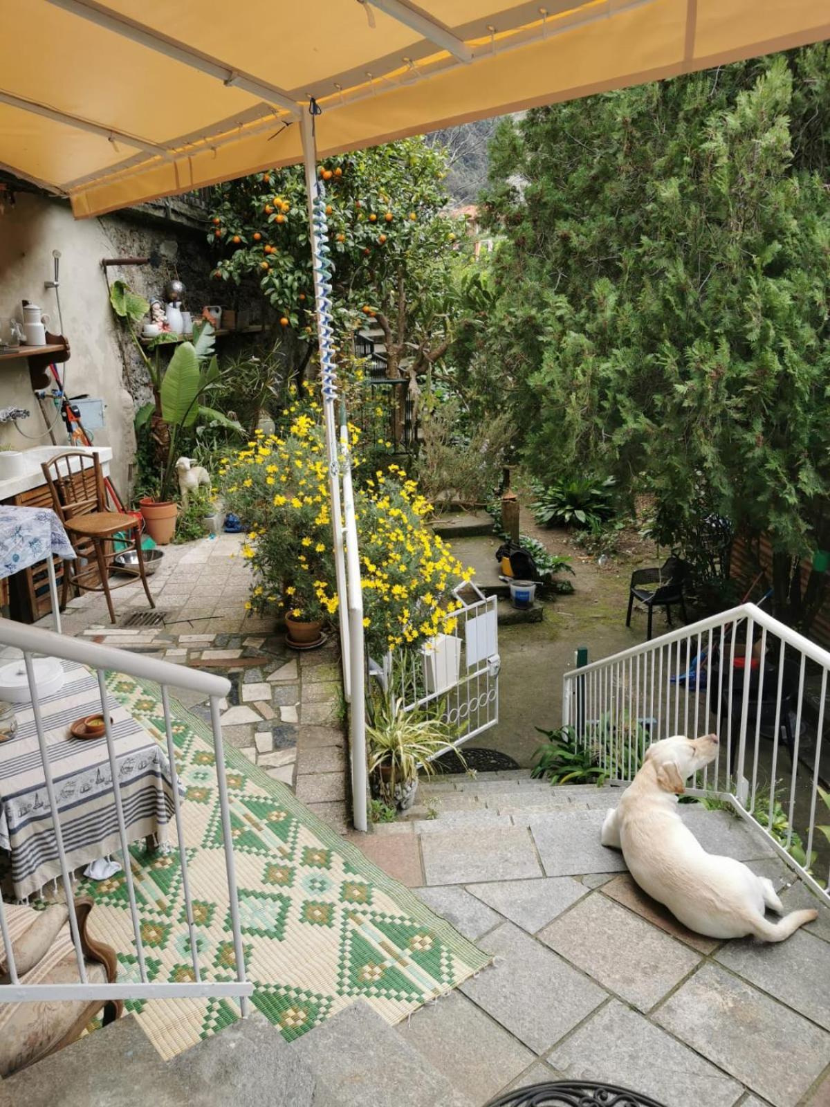Hotel Itaca Varazze Esterno foto